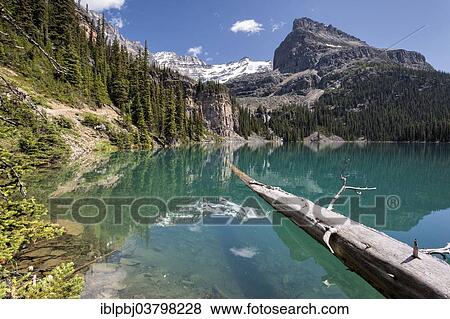 "Lake O'Hara, Yoho National Park, Canada, North America" View Large Photo Image Stock Photo - "Lake O'Hara, Yoho National Park, Canada, North America". Fotosearch