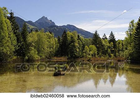 "Lake Quellsee in spring, Wendelstein mountain at the back, landscape near Hammer in the Leitzachtal valley, near Bayrischzell, Upper Bavaria, Bavaria, Germany, Europe" View Large Photo Image Stock Photo - "Lake Quellsee in spring, Wendelstein mountain at the back, landscape near Hammer in the Leitzachtal valley, near Bayrischzell, Upper Bavaria, Bavaria, Germany, Europe". Fotosearch