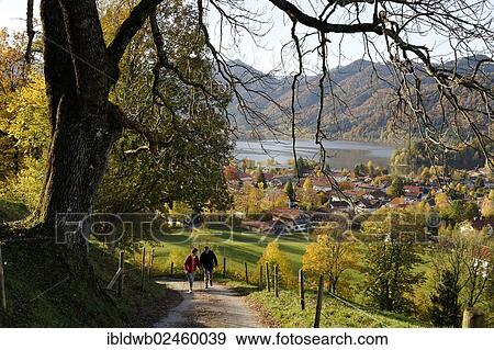 "Lake Schliersee as seen from Unterriss in autumn, Upper Bavaria, Bavaria, Germany, Europe" View Large Photo Image Stock Photo - "Lake Schliersee as seen from Unterriss in autumn, Upper Bavaria, Bavaria, Germany, Europe". Fotosearch