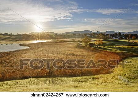 Lake Sengsee in the early morning, in autumn, Osterseen lakes, Iffeldorf, Alpine foreland, Fuenfseenland region, Upper Bavaria, Bavaria, Germany, Europe View Large Photo Image Stock Photo - Lake Sengsee in the early morning, in autumn, Osterseen lakes, Iffeldorf, Alpine foreland, Fuenfseenland region, Upper Bavaria, Bavaria, Germany, Europe. Fotosearch