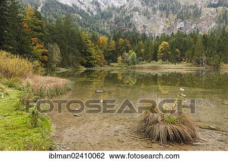 "Lake Taferlklaussee on Grossalm-Strasse road, Salzkammergut region, Upper Austria, Austria, Europe" View Large Photo Image Stock Image - "Lake Taferlklaussee on Grossalm-Strasse road, Salzkammergut region, Upper Austria, Austria, Europe". Fotosearch