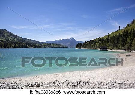 "Lake Walchensee, lakeshore, Kochel am See, Upper Bavaria, Bavaria, Germany, Europe" View Large Photo Image Stock Photograph - "Lake Walchensee, lakeshore, Kochel am See, Upper Bavaria, Bavaria, Germany, Europe". Fotosearch