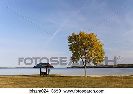 Lakeside, Leech Lake, Walker, Minnesota, USA View Large Photo Image Stock Photo - Lakeside, Leech Lake, Walker, Minnesota, USA. Fotosearch