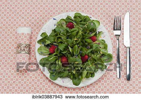 "Lamb's lettuce with strawberries and flower petals served on a plate, napkin, cutlery" View Large Photo Image Stock Image - "Lamb's lettuce with strawberries and flower petals served on a plate, napkin, cutlery". Fotosearch