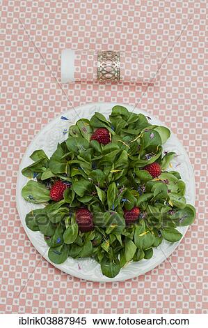 "Lamb's lettuce with strawberries and flower petals served on a plate, napkin" View Large Photo Image Stock Photography - "Lamb's lettuce with strawberries and flower petals served on a plate, napkin". Fotosearch