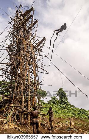 "Land diver jumping, Pentecost Island, Vanuatu, Oceania" View Large Photo Image Stock Photo - "Land diver jumping, Pentecost Island, Vanuatu, Oceania". Fotosearch