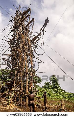 "Land diver jumping, Pentecost Island, Vanuatu, Oceania" View Large Photo Image Stock Photograph - "Land diver jumping, Pentecost Island, Vanuatu, Oceania". Fotosearch