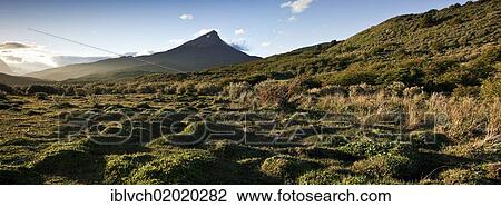 "Land of Fire, Tierra del Fuego, Argentina, South America, America, South America" View Large Photo Image Stock Image - "Land of Fire, Tierra del Fuego, Argentina, South America, America, South America". Fotosearch