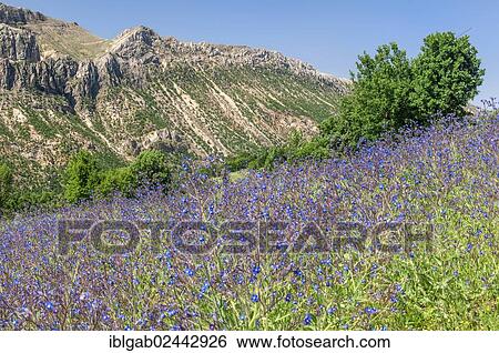 "Landscape, Adiyaman Province, East Turkey, Turkey, Asia" View Large Photo Image Stock Photograph - "Landscape, Adiyaman Province, East Turkey, Turkey, Asia". Fotosearch
