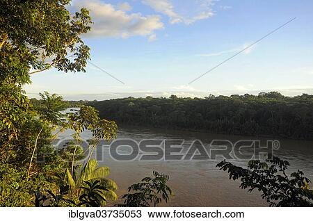 "Landscape alongside the Tambopata River, Tambopata Nature Reserve, Madre de Dios Region, Peru, South America" View Large Photo Image Stock Image - "Landscape alongside the Tambopata River, Tambopata Nature Reserve, Madre de Dios Region, Peru, South America". Fotosearch
