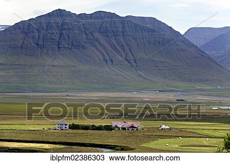 "Landscape and agriculture settlement, Skagafjorduk, Iceland, Europe" View Large Photo Image Stock Image - "Landscape and agriculture settlement, Skagafjorduk, Iceland, Europe". Fotosearch