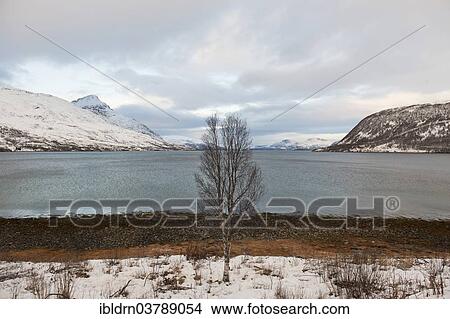 "Landscape at Kaldfjorden, Troms, Norway, Europe" View Large Photo Image Picture - "Landscape at Kaldfjorden, Troms, Norway, Europe". Fotosearch