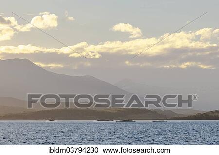 "Landscape at the Beagle Channel, Tierra del Fuego Province, Argentina, South America" View Large Photo Image Stock Image - "Landscape at the Beagle Channel, Tierra del Fuego Province, Argentina, South America". Fotosearch