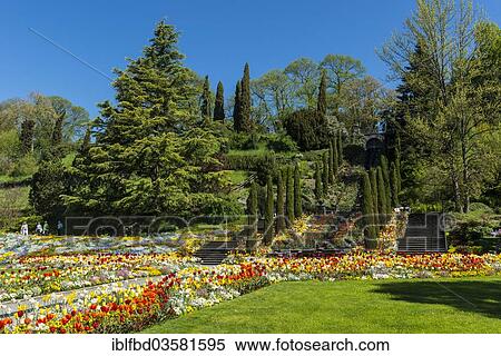 "Landscape gardening and blooming flowers, Mainau island, Lake Constanz, Baden-Wurttemberg, Germany, Europe" View Large Photo Image Stock Photography - "Landscape gardening and blooming flowers, Mainau island, Lake Constanz, Baden-Wurttemberg, Germany, Europe". Fotosearch
