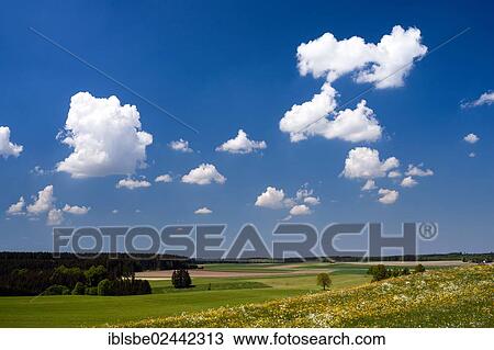 "Landscape in Lechrain near Reichling, Upper Bavaria, Bavaria, Germany, Europe" View Large Photo Image Stock Image - "Landscape in Lechrain near Reichling, Upper Bavaria, Bavaria, Germany, Europe". Fotosearch