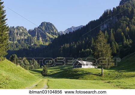 "Landscape in Schoenenbach Tal Valley, Vorsass, Bregenzerwald, Bregenzer Wald, Vorarlberg, Austria, Europe" View Large Photo Image Stock Photograph - "Landscape in Schoenenbach Tal Valley, Vorsass, Bregenzerwald, Bregenzer Wald, Vorarlberg, Austria, Europe". Fotosearch