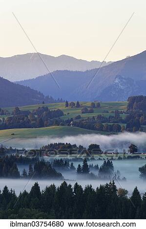 Stock Image - "Landscape in the Alpine Foreland, morning mood with fog, Schonberg, Rottenbuch, Pfaffenwinkel region, Upper Bavaria, Bavaria, Germany, Europe". Fotosearch