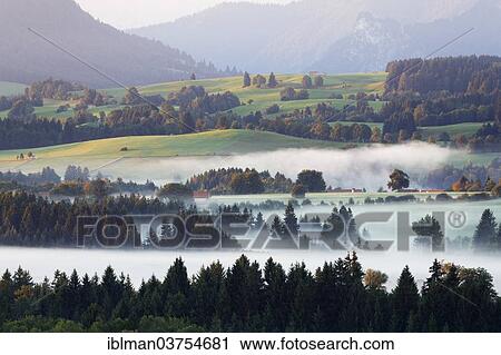 "Landscape in the Alpine Foreland, morning mood with fog, Schonberg, Rottenbuch, Pfaffenwinkel region, Upper Bavaria, Bavaria, Germany, Europe" View Large Photo Image Stock Image - "Landscape in the Alpine Foreland, morning mood with fog, Schonberg, Rottenbuch, Pfaffenwinkel region, Upper Bavaria, Bavaria, Germany, Europe". Fotosearch