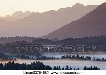 Stock Image - "Landscape in the Alpine Foreland, morning mood with fog, Schonberg, Rottenbuch, Pfaffenwinkel region, Upper Bavaria, Bavaria, Germany, Europe". Fotosearch