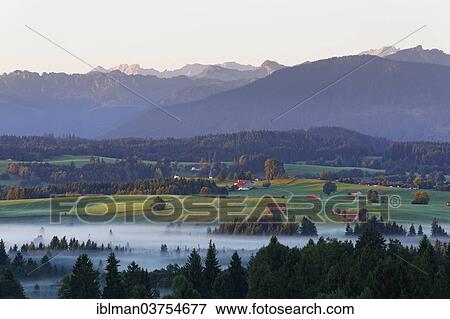"Landscape in the Alpine Foreland, morning mood with fog, Bad Bayersoien, Saulgrub, Pfaffenwinkel region, Upper Bavaria, Bavaria, Germany, Europe" View Large Photo Image Stock Photo - "Landscape in the Alpine Foreland, morning mood with fog, Bad Bayersoien, Saulgrub, Pfaffenwinkel region, Upper Bavaria, Bavaria, Germany, Europe". Fotosearch