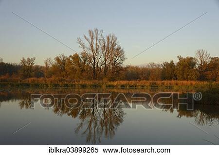 "Landscape in the evening light, Lobau wetlands, Danube-Auen National Park, Schonau, Lower Austria, Austria, Europe" View Large Photo Image Stock Photography - "Landscape in the evening light, Lobau wetlands, Danube-Auen National Park, Schonau, Lower Austria, Austria, Europe". Fotosearch