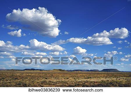 "Landscape in the Karoo semi-desert, central plateau, Highveld, Northern Cape, South Africa, Africa" View Large Photo Image Stock Photo - "Landscape in the Karoo semi-desert, central plateau, Highveld, Northern Cape, South Africa, Africa". Fotosearch