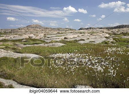 "Landscape in the Ramsviklandet Nature Reserve, Bohuslan, Sweden, Europe" View Large Photo Image Picture - "Landscape in the Ramsviklandet Nature Reserve, Bohuslan, Sweden, Europe". Fotosearch
