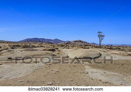 "Landscape in ‪Namib-Naukluft National Park‬, Namibia, Africa" View Large Photo Image Stock Image - "Landscape in ‪Namib-Naukluft National Park‬, Namibia, Africa". Fotosearch