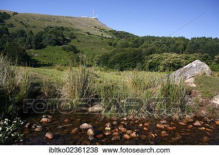 "Landscape, natural stream, view towards the summit of La Rhune Mountain, 905m, Basque Country, Pyrenees, Aquitaine region, department of Pyrenees-Atlantiques, France, Europe" View Large Photo Image Stock Photo - "Landscape, natural stream, view towards the summit of La Rhune Mountain, 905m, Basque Country, Pyrenees, Aquitaine region, department of Pyrenees-Atlantiques, France, Europe". Fotosearch