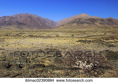 "Landscape near Brandberg mountain, Damaraland, Namibia, Africa" View Large Photo Image Picture - "Landscape near Brandberg mountain, Damaraland, Namibia, Africa". Fotosearch