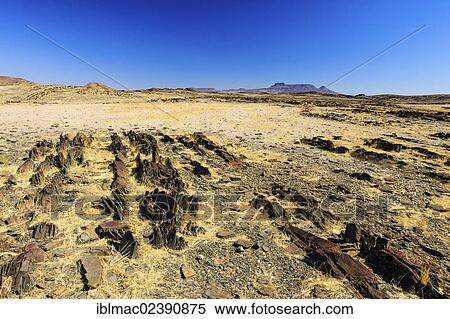 "Landscape near Brandberg mountain, Damaraland, Namibia, Africa" View Large Photo Image Stock Photography - "Landscape near Brandberg mountain, Damaraland, Namibia, Africa". Fotosearch