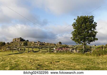 "Landscape near Finiels, The Causses and the Cevennes, UNESCO World Heritage Site, Parc National des Cevennes, Cevennes National Park, UNESCO Biosphere Reserve, Mont Lozere, Le Pont-de-Montvert, Lozere, Languedoc-Roussillon, France, Europe" View Large Photo Image Stock Photography - "Landscape near Finiels, The Causses and the Cevennes, UNESCO World Heritage Site, Parc National des Cevennes, Cevennes National Park, UNESCO Biosphere Reserve, Mont Lozere, Le Pont-de-Montvert, Lozere, Languedoc-Roussillon, France, Europe". Fotosearch