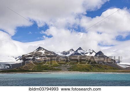 "Landscape near Salisbury Plain on the north-east coast of the island, South Georgia and the South Sandwich Islands, United Kingdom, Antarctica" View Large Photo Image Stock Image - "Landscape near Salisbury Plain on the north-east coast of the island, South Georgia and the South Sandwich Islands, United Kingdom, Antarctica". Fotosearch