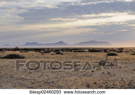 Stock Image - "Landscape near Spitzkoppe, morning mist, Namib Desert, Namibia, Africa". Fotosearch