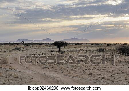 "Landscape near Spitzkoppe, morning mist, Namib Desert, Namibia, Africa" View Large Photo Image Stock Photograph - "Landscape near Spitzkoppe, morning mist, Namib Desert, Namibia, Africa". Fotosearch