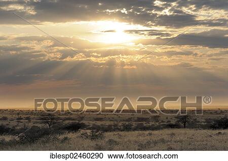 "Landscape near Spitzkoppe, Namib Desert, Namibia, Africa" View Large Photo Image Stock Image - "Landscape near Spitzkoppe, Namib Desert, Namibia, Africa". Fotosearch