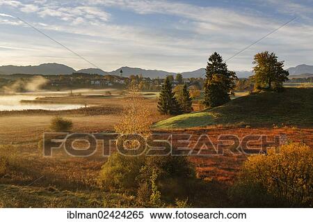 Landscape near the Osterseen lakes, Iffeldorf in the early morning, in autumn, Alpine foreland, Fuenfseenland region, Upper Bavaria, Bavaria, Germany, Europe View Large Photo Image Stock Photography - Landscape near the Osterseen lakes, Iffeldorf in the early morning, in autumn, Alpine foreland, Fuenfseenland region, Upper Bavaria, Bavaria, Germany, Europe. Fotosearch
