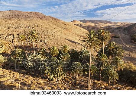 "Landscape of Barranco de la Madre de Agua, near Ajuy, Fuerteventura, Canary Islands, Spain, Europe" View Large Photo Image Stock Image - "Landscape of Barranco de la Madre de Agua, near Ajuy, Fuerteventura, Canary Islands, Spain, Europe". Fotosearch