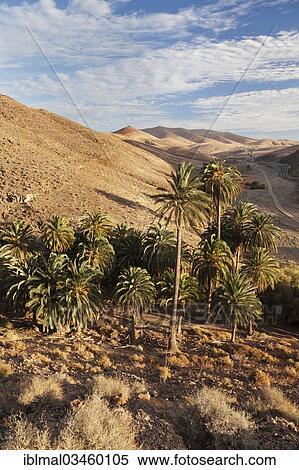 "Landscape of Barranco de la Madre de Agua, near Ajuy, Fuerteventura, Canary Islands, Spain, Europe" View Large Photo Image Stock Photography - "Landscape of Barranco de la Madre de Agua, near Ajuy, Fuerteventura, Canary Islands, Spain, Europe". Fotosearch