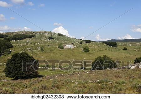 "Landscape of Mont Lozere in Mas Camargues, the Causses and the Cevennes, UNESCO World Heritage Site, Parc National des Cevennes, Cevennes National Park, UNESCO Biosphere Reserve, Le Pont-de-Montvert, Lozere, Languedoc-Roussillon, France, Europe" View Large Photo Image Stock Photo - "Landscape of Mont Lozere in Mas Camargues, the Causses and the Cevennes, UNESCO World Heritage Site, Parc National des Cevennes, Cevennes National Park, UNESCO Biosphere Reserve, Le Pont-de-Montvert, Lozere, Languedoc-Roussillon, France, Europe". Fotosearch