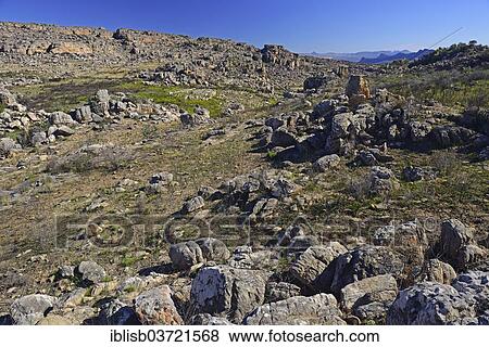 "Landscape of the Cederberg Wilderness Area, Cederberg Wilderness Area, near Clanwilliam, Western Cape, South Africa, Africa" View Large Photo Image Stock Photo - "Landscape of the Cederberg Wilderness Area, Cederberg Wilderness Area, near Clanwilliam, Western Cape, South Africa, Africa". Fotosearch