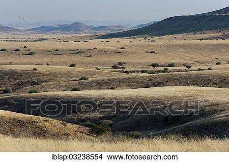 "Landscape of the Palmwag Concession, Palmwag Concession, Damaraland, Kunene Region, Namibia, Africa" View Large Photo Image Picture - "Landscape of the Palmwag Concession, Palmwag Concession, Damaraland, Kunene Region, Namibia, Africa". Fotosearch