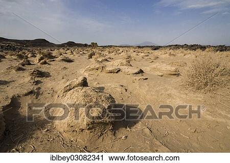 "Landscape shaped by flood basalts at Afdera, Danakil-Senke, Afdera, Wollo, Ethiopia, Africa" View Large Photo Image Stock Image - "Landscape shaped by flood basalts at Afdera, Danakil-Senke, Afdera, Wollo, Ethiopia, Africa". Fotosearch