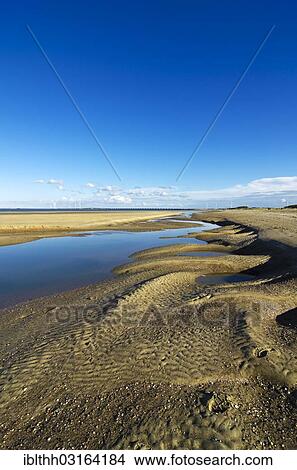 "Landscape with dunes in the Deltapark region, Oosterschelde, Vrouwenpolder, Zeeland province, The Netherlands, Europe" View Large Photo Image Picture - "Landscape with dunes in the Deltapark region, Oosterschelde, Vrouwenpolder, Zeeland province, The Netherlands, Europe". Fotosearch