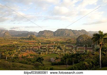 "Landscape with Karst mountains and the cultivation of tobacco, Valle de Vinales, Pinar del Rio Province, Cuba, North America" View Large Photo Image Stock Image - "Landscape with Karst mountains and the cultivation of tobacco, Valle de Vinales, Pinar del Rio Province, Cuba, North America". Fotosearch
