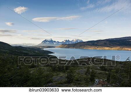 "Landscape with lake and mountains in the evening light, Torres del Paine National Park, Patagonia, Chile, South America" View Large Photo Image Stock Image - "Landscape with lake and mountains in the evening light, Torres del Paine National Park, Patagonia, Chile, South America". Fotosearch
