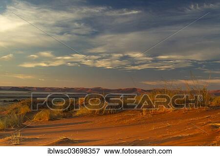 "Landscape with sand dunes in the morning, Sossusvlei, Namib Desert, Namib Naukluft Park, Namibia, Africa" View Large Photo Image Stock Photo - "Landscape with sand dunes in the morning, Sossusvlei, Namib Desert, Namib Naukluft Park, Namibia, Africa". Fotosearch