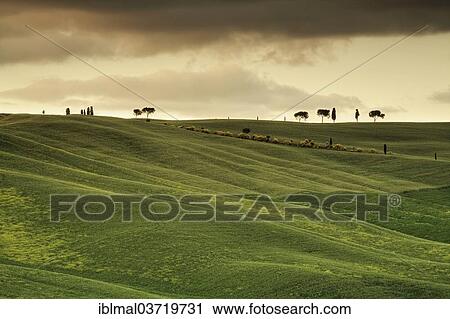 "Landscape with thunderstorm clouds, near San Quirico d'Orcia, Val d'Orcia region, Province of Siena, Tuscany, Italy, Europe" View Large Photo Image Stock Image - "Landscape with thunderstorm clouds, near San Quirico d'Orcia, Val d'Orcia region, Province of Siena, Tuscany, Italy, Europe". Fotosearch