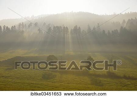 "Landscape with trees in the morning fog, Rottweil, Baden-Wurttemberg, Germany, Europe" View Large Photo Image Stock Image - "Landscape with trees in the morning fog, Rottweil, Baden-Wurttemberg, Germany, Europe". Fotosearch