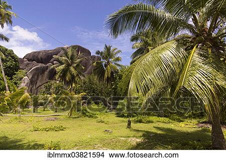 "Landscape with typical rock formations in the Seychelles, Anse Union, La Digue, Seychelles, Africa" View Large Photo Image Picture - "Landscape with typical rock formations in the Seychelles, Anse Union, La Digue, Seychelles, Africa". Fotosearch